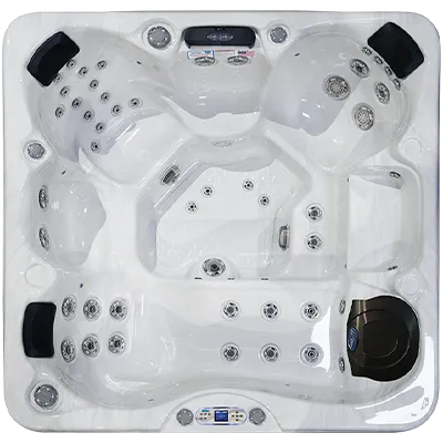 Avalon EC-849L hot tubs for sale in Fort Lauderdale