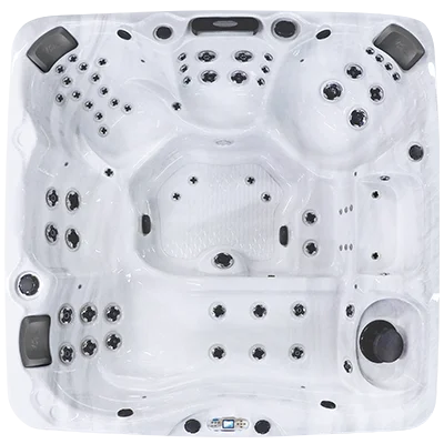 Avalon EC-867L hot tubs for sale in Fort Lauderdale